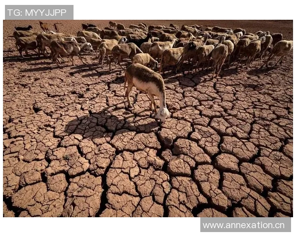 全球气候变化加剧专家警告极端天气事件频发各国需加紧应对措施
